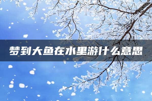 梦到大鱼在水里游什么意思