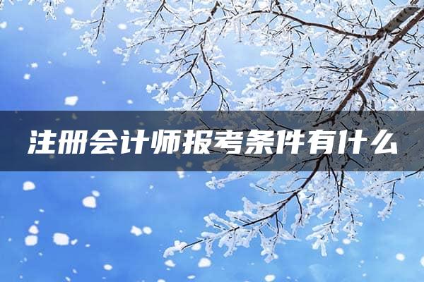 注册会计师报考条件有什么