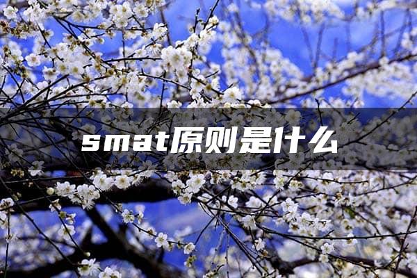 smat原则是什么