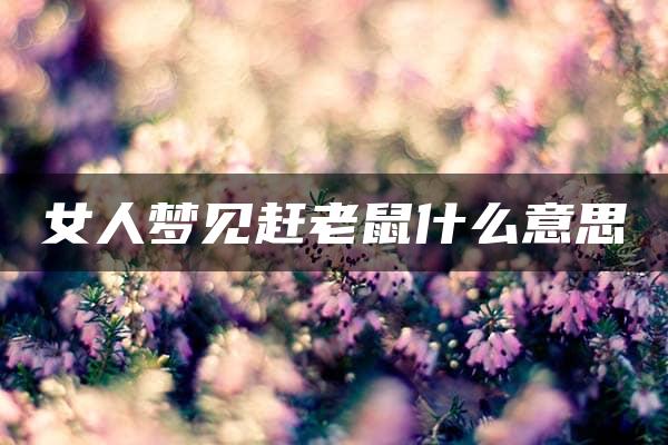 女人梦见赶老鼠什么意思