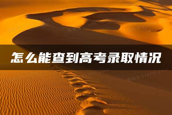 怎么能查到高考录取情况