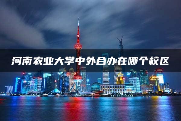 河南农业大学中外合办在哪个校区