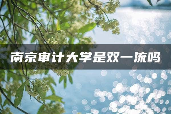 南京审计大学是双一流吗