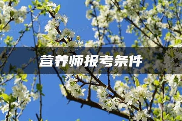 营养师报考条件