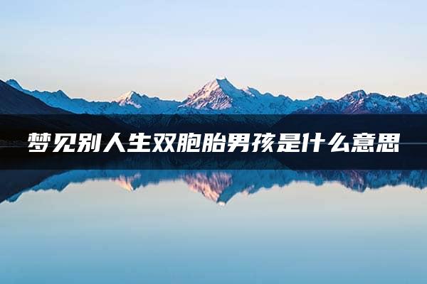 梦见别人生双胞胎男孩是什么意思