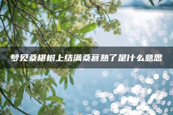 梦见桑椹树上结满桑葚熟了是什么意思