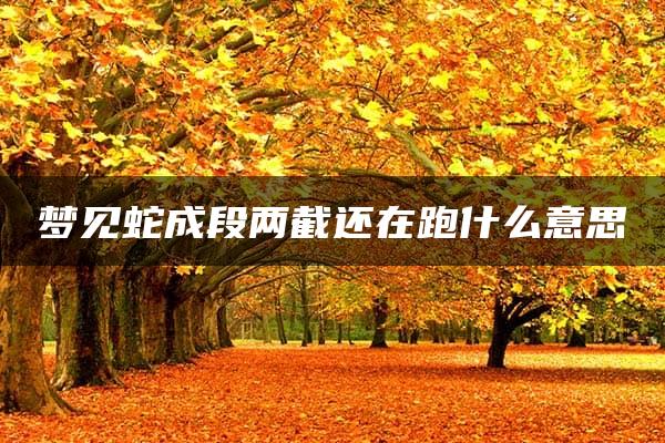 梦见蛇成段两截还在跑什么意思