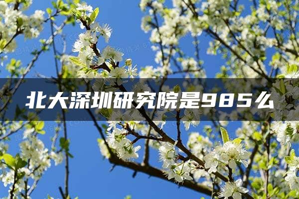 北大深圳研究院是985么