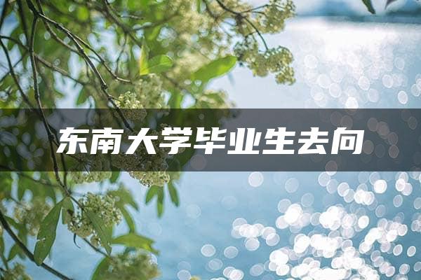 东南大学毕业生去向