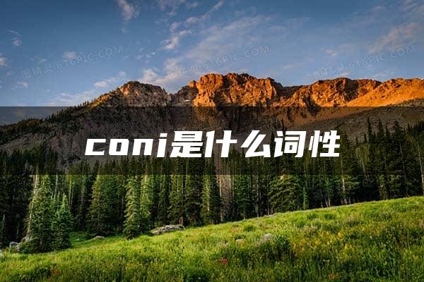 conj是什么词性