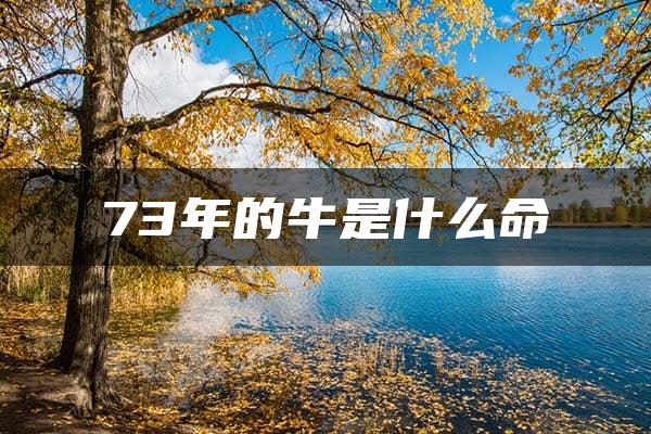 73年的牛是什么命