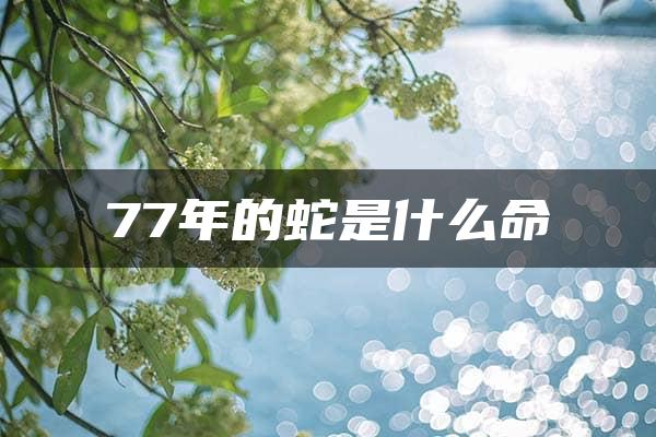 77年的蛇是什么命