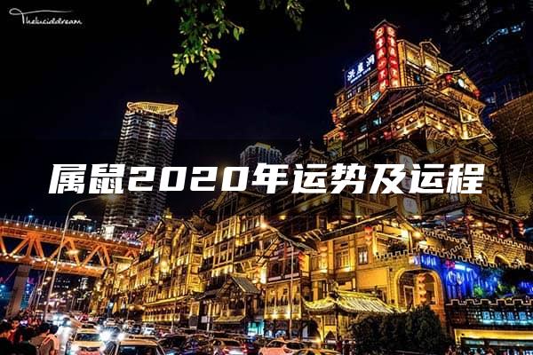 属鼠2020年运势及运程