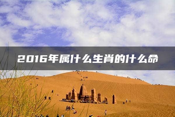 2016年属什么生肖的什么命