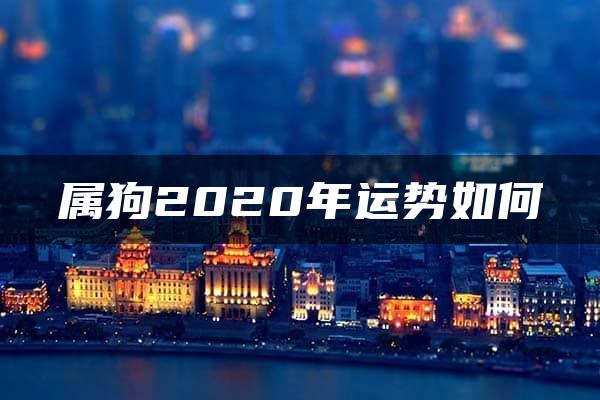 属狗2020年运势如何