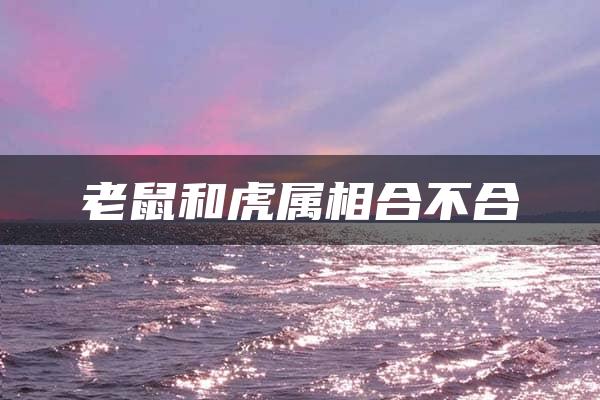 老鼠和虎属相合不合