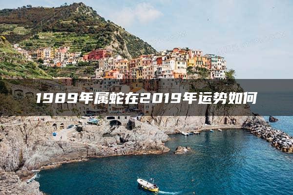 1989年属蛇在2019年运势如何