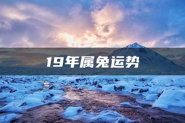 19年属兔运势