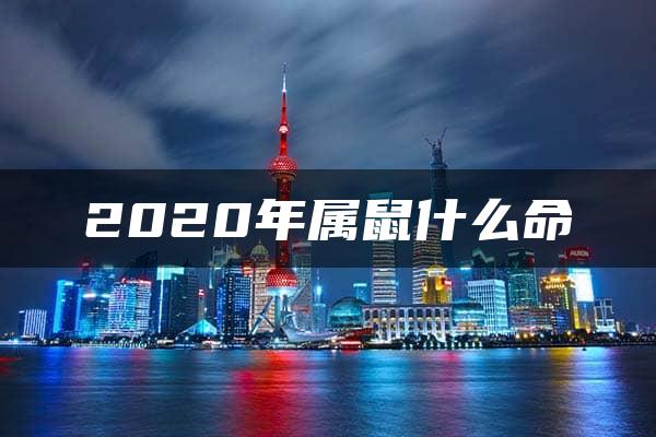 2020年属鼠什么命