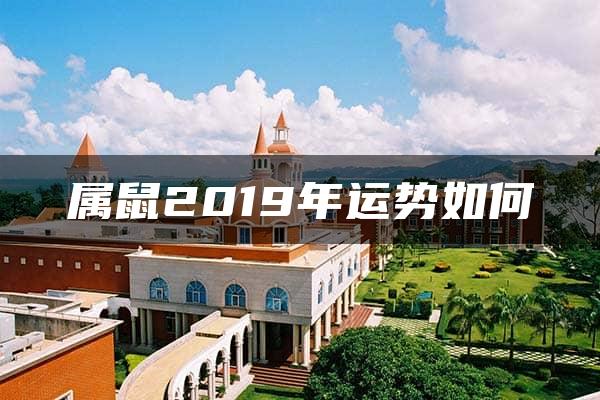 属鼠2019年运势如何