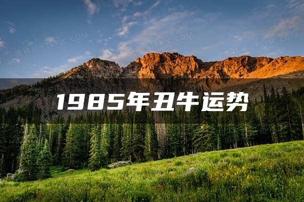 1985年丑牛运势