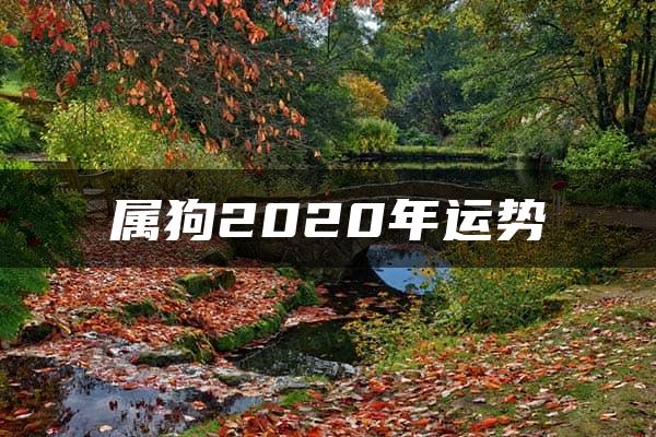 属狗2020年运势