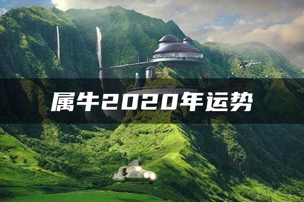 属牛2020年运势