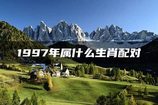 1997年属什么生肖配对