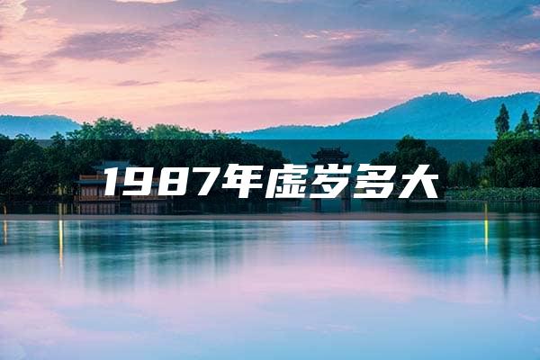 1987年虚岁多大