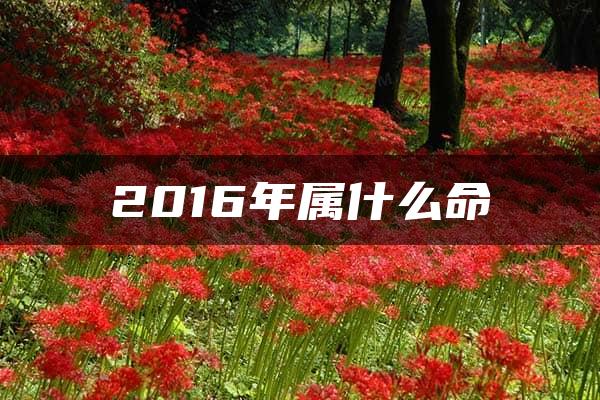 2016年属什么命