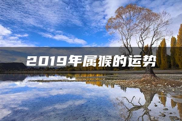 2019年属猴的运势