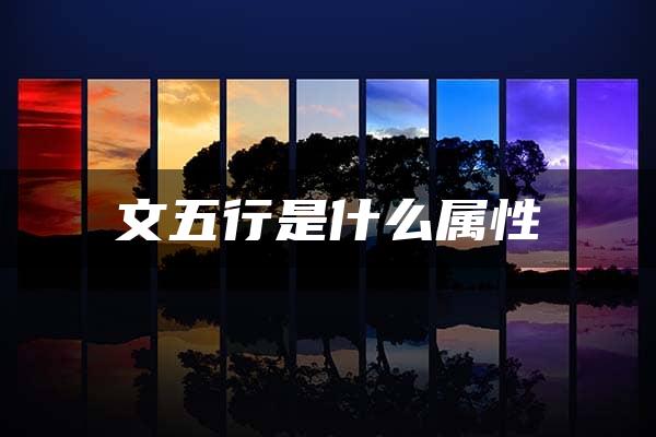 文五行是什么属性