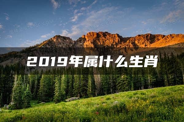 2019年属什么生肖