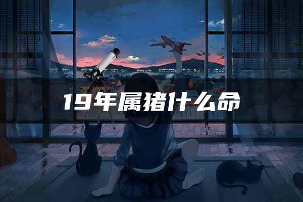 19年属猪什么命