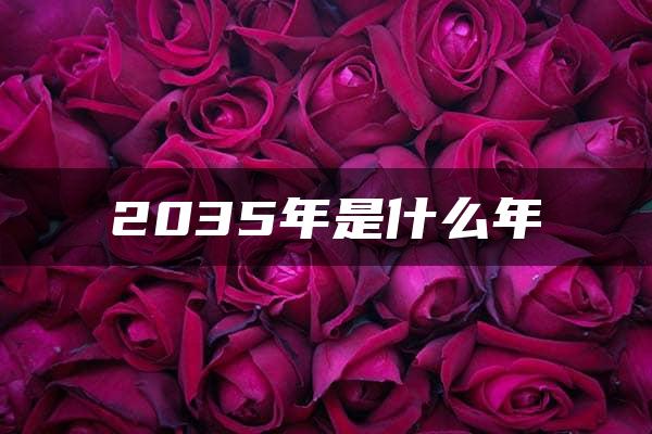 2035年是什么年