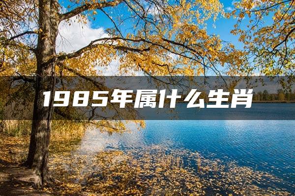 1985年属什么生肖