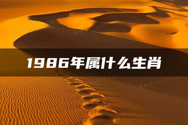 1986年属什么生肖