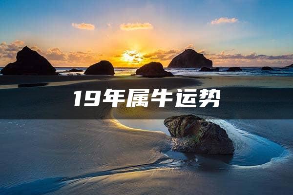 19年属牛运势