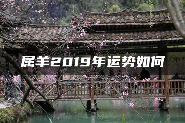 属羊2019年运势如何