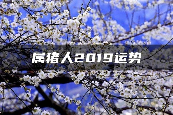 属猪人2019运势