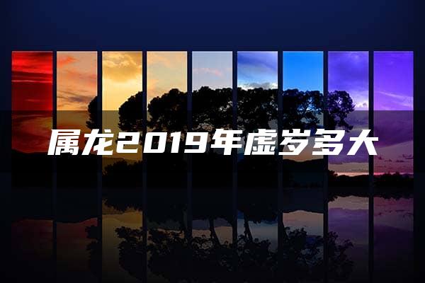 属龙2019年虚岁多大