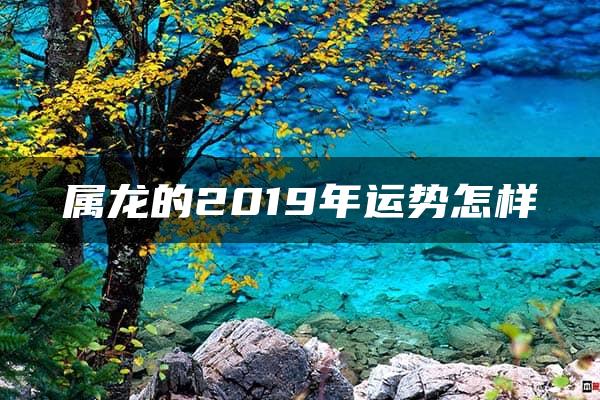 属龙的2019年运势怎样