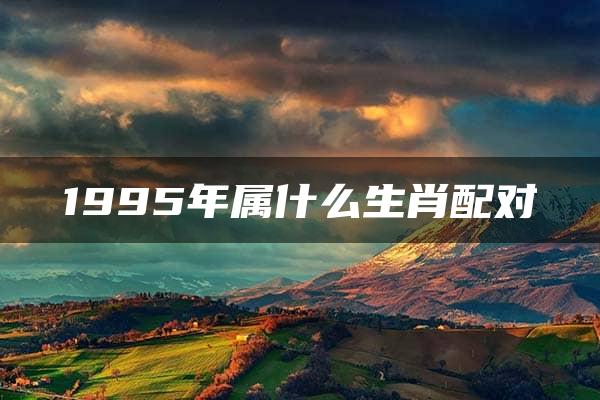 1995年属什么生肖配对