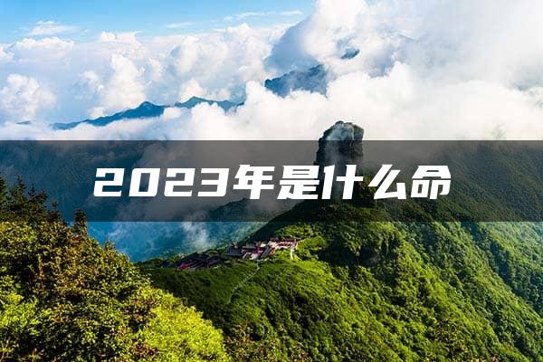 2023年是什么命