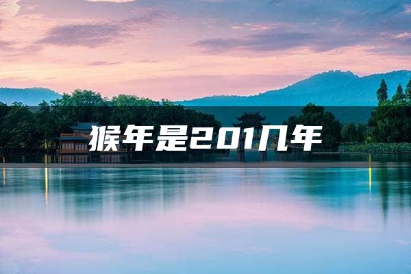 猴年是201几年