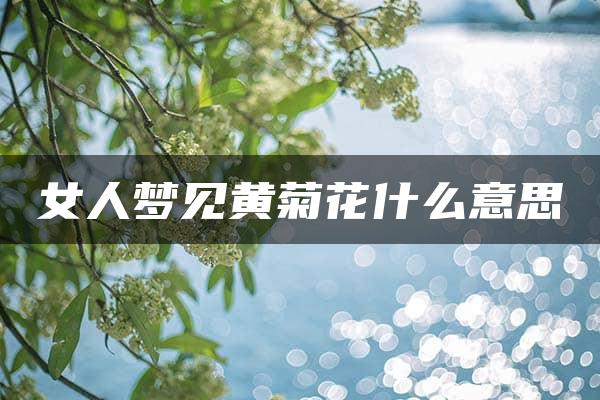 女人梦见黄菊花什么意思