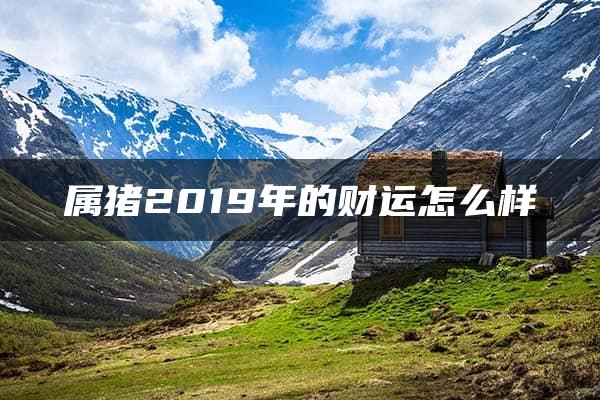 属猪2019年的财运怎么样