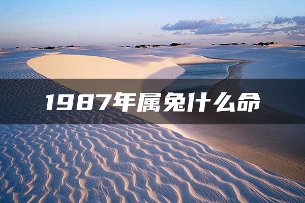 1987年属兔什么命