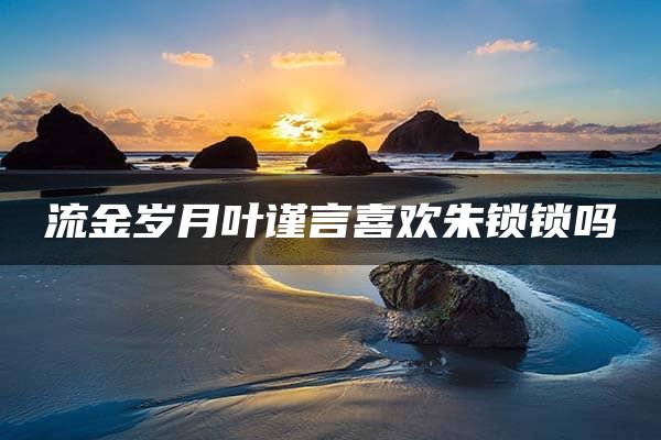 流金岁月叶谨言喜欢朱锁锁吗