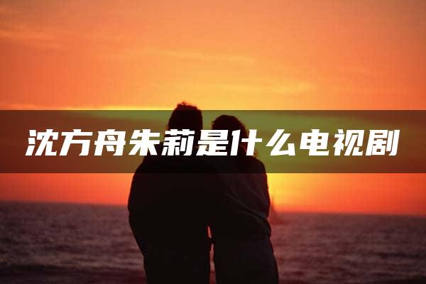 沈方舟朱莉是什么电视剧